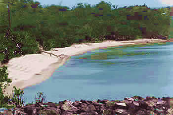 Sardinas beach in Culebra